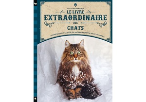 Le livre extraordinaire des <br />
<b>Warning</b>:  Undefined variable $ExplorateurNom in <b>/home/flokita/www/biblio/livres_extra/livre.php</b> on line <b>63</b><br />
