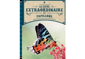 Le livre extraordinaire des 