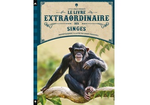 Le livre extraordinaire des 