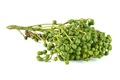 liste citronn&eacte;e alias verveine exotique