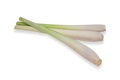 citronnelle