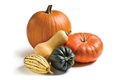 citrouille et autres courges