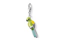 charm Thomas Sabo 0758-007-06